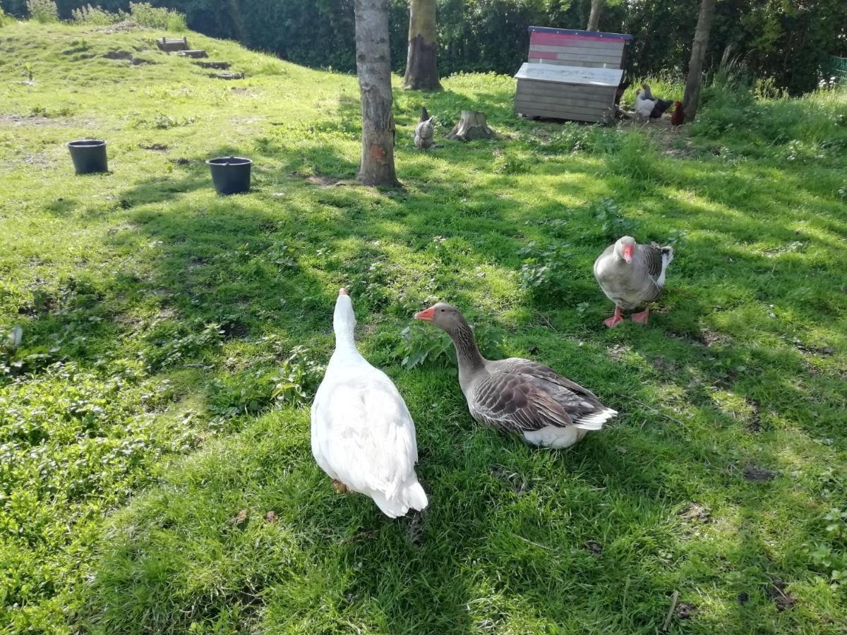 Le Gite Du Chtihameau Avec Piscine Interieure Privative, Selon Date Bassee Zewnętrze zdjęcie